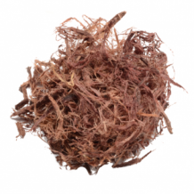 Mimosa Hostilis 25g - shredded